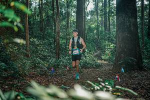 BIB: 
                            <button type="button" onclick="openModal(26127601)" class="btn btn-primary btn-sm float-right btn-popup" data-toggle="modal" data-target=".modal-high-quality">
                        <i class="fas fa-shopping-cart"></i> Add to Cart
                    </button>
                                            <button type="button" onclick="isThisMe(26127601, true)" class="btn btn-success btn-sm float-right btn-popup btn-isme hidden" data-toggle="tooltip" data-placement="bottom" title="นี่คือรูปของคุณใช่ไหม คลิกที่นี่เพื่อเอาเข้าอัลบั้ม">
                        <i class="fas fa-plus"></i> Add to album
                    </button>
                    <button type="button" onclick="isThisMe(26127601, false)" class="btn btn-warning btn-sm float-right btn-popup btn-isnotme hidden">
                        <i class="fas fa-ban"></i> Remove from album
                    </button>